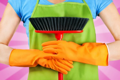 Odour treatment for pet accidents in a Hackney Wick home