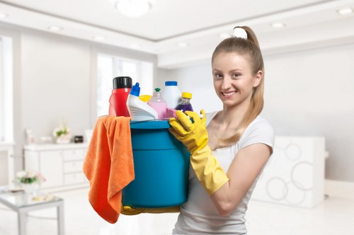 Professional carpet cleaning process during a residential appointment